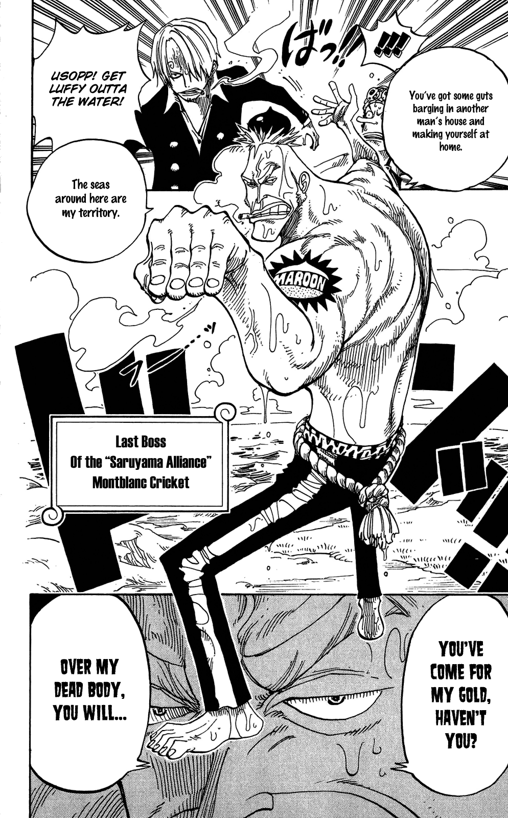 One Piece, Chapter 227 image 19